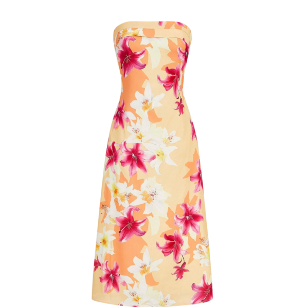 Pre-order: Alania Dress