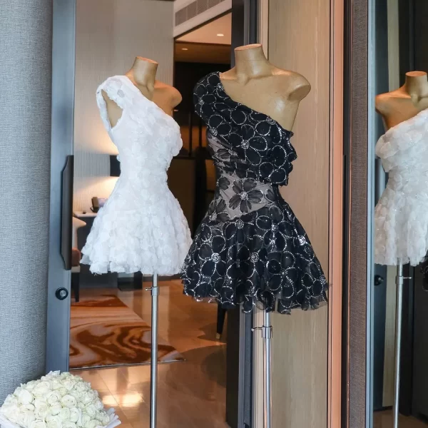 Pre-order: Colette Dress